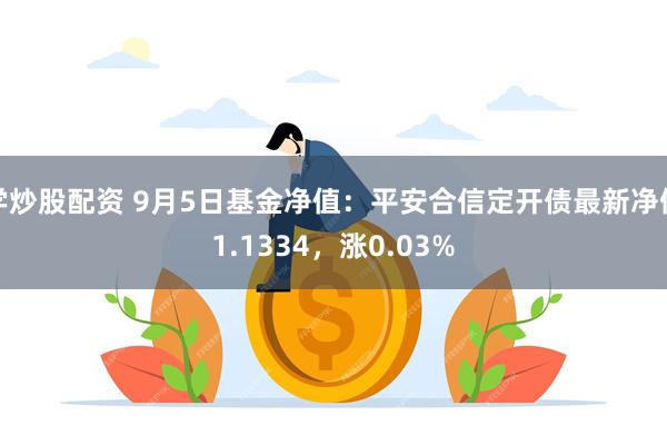 学炒股配资 9月5日基金净值：平安合信定开债最新净值1.1334，涨0.03%