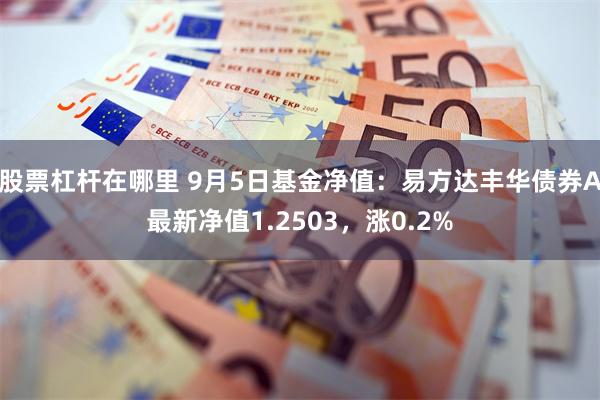 股票杠杆在哪里 9月5日基金净值：易方达丰华债券A最新净值1.2503，涨0.2%