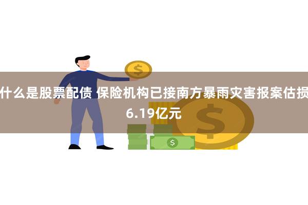 什么是股票配债 保险机构已接南方暴雨灾害报案估损6.19亿元