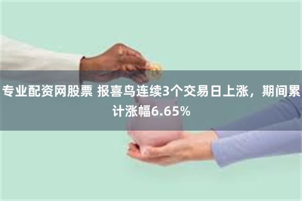 专业配资网股票 报喜鸟连续3个交易日上涨，期间累计涨幅6.65%