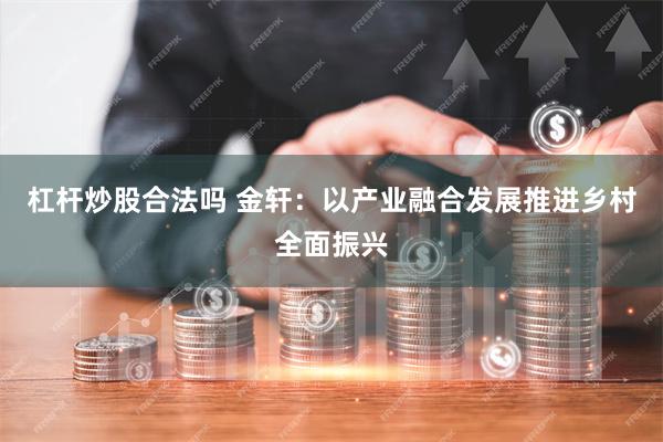 杠杆炒股合法吗 金轩：以产业融合发展推进乡村全面振兴