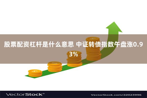 股票配资杠杆是什么意思 中证转债指数午盘涨0.93%