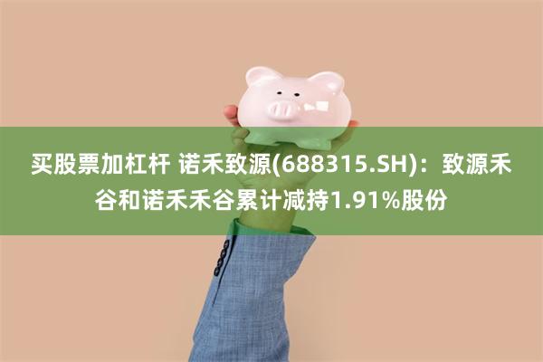 买股票加杠杆 诺禾致源(688315.SH)：致源禾谷和诺禾禾谷累计减持1.91%股份