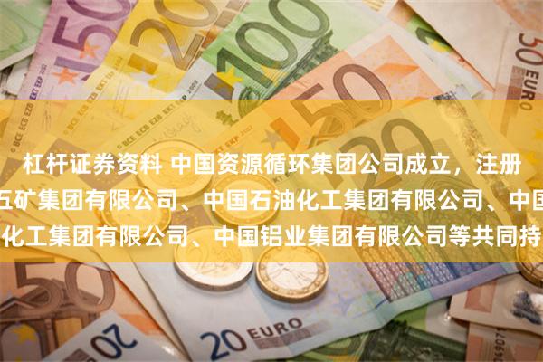 杠杆证券资料 中国资源循环集团公司成立，注册资本百亿！公司由中国五矿集团有限公司、中国石油化工集团有限公司、中国铝业集团有限公司等共同持股