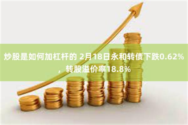 炒股是如何加杠杆的 2月18日永和转债下跌0.62%，转股溢价率18.8%