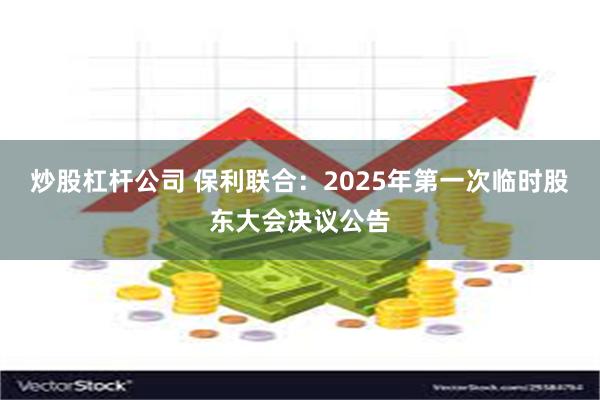 炒股杠杆公司 保利联合：2025年第一次临时股东大会决议公告